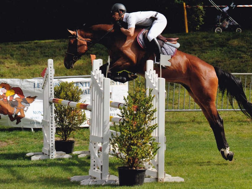 Bienvenue aux Ecuries d'Astrée à Saint-Trivier-sur-Moignans, dans l'Ain (01)