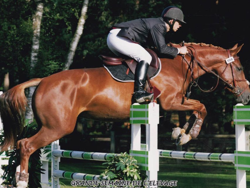 Bienvenue aux Ecuries d'Astrée à Saint-Trivier-sur-Moignans, dans l'Ain (01)