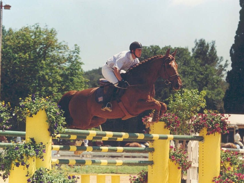 Bienvenue aux Ecuries d'Astrée à Saint-Trivier-sur-Moignans, dans l'Ain (01)