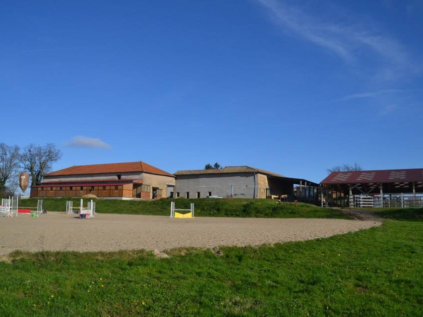 Bienvenue aux Ecuries d'Astrée à Saint-Trivier-sur-Moignans, dans l'Ain (01)