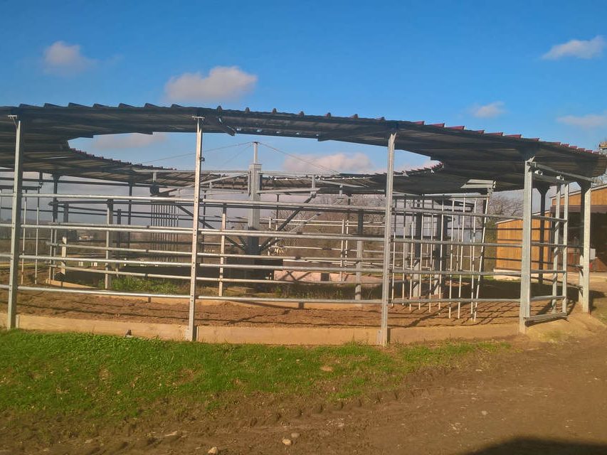 Bienvenue aux Ecuries d'Astrée à Saint-Trivier-sur-Moignans, dans l'Ain (01)