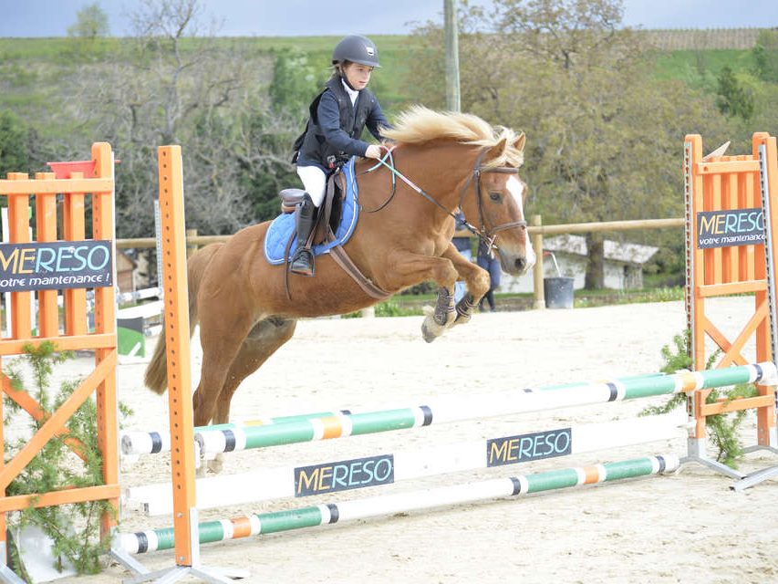 Bienvenue aux Ecuries d'Astrée à Saint-Trivier-sur-Moignans, dans l'Ain (01)
