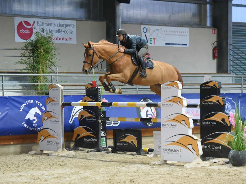 Bienvenue aux Ecuries d'Astrée à Saint-Trivier-sur-Moignans, dans l'Ain (01)