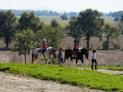 Poney-Club et Centre Equestre