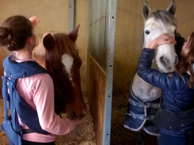 Poney-Club et Centre Equestre